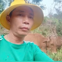 Văn Hưng Võ