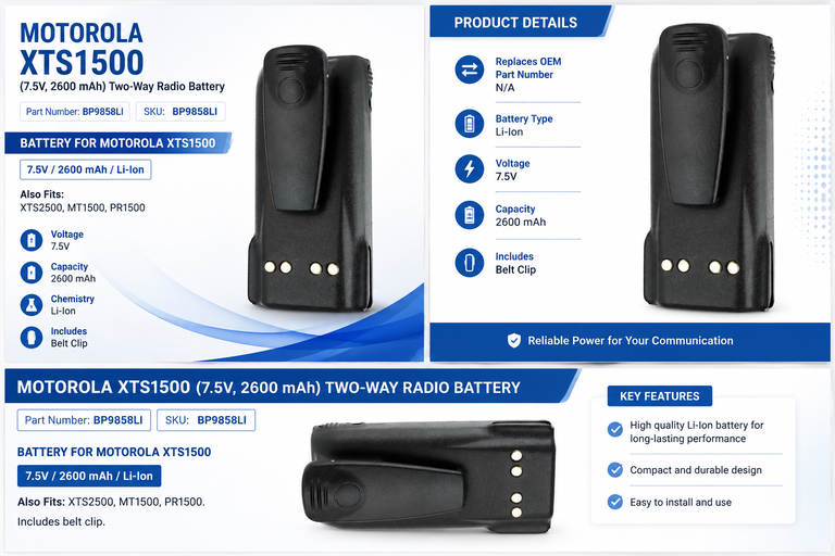 Pin Motorola XTS1500