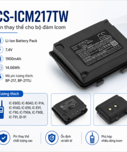 CS-ICM217TW