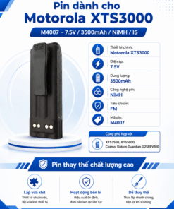 Pin Motorola XTS3000
